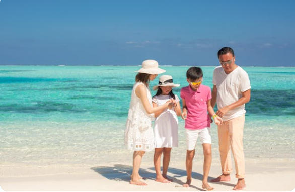 papa y mama verde 14